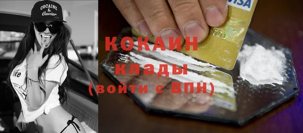 ПСИЛОЦИБИНОВЫЕ ГРИБЫ Инта
