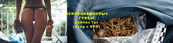 альфа пвп Инсар