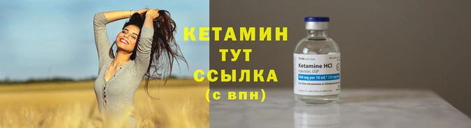 молекула духа Каменка