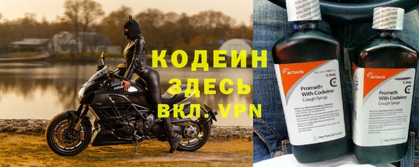 ПСИЛОЦИБИНОВЫЕ ГРИБЫ Инта