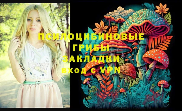 герыч Иннополис