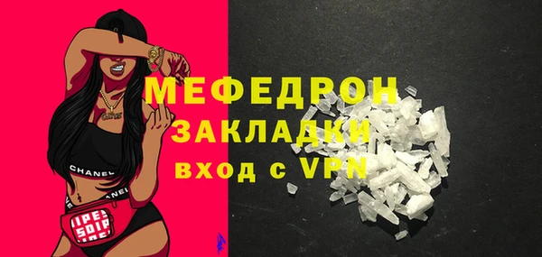 индика Козельск
