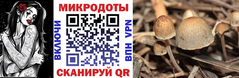 Псилоцибиновые грибы мухоморы  Нолинск 